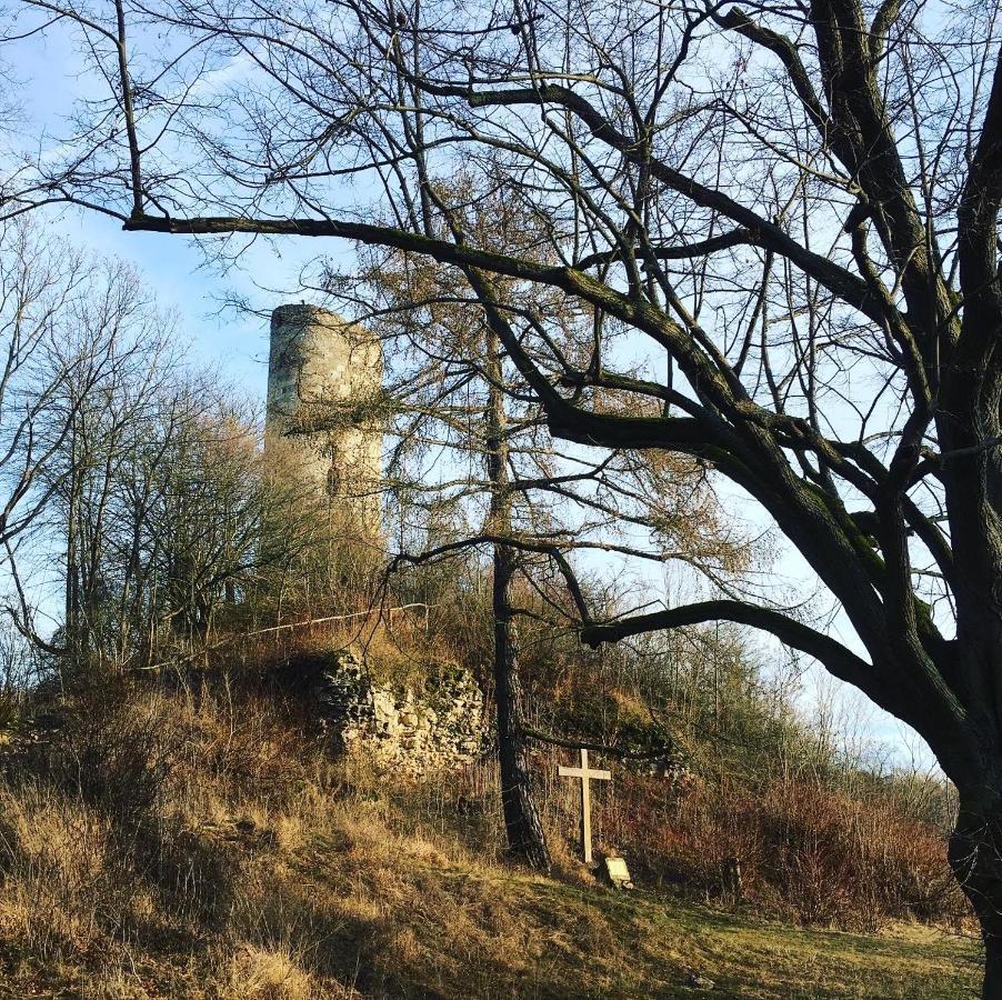 Ferienwohnungen Lausbuben & Zicken - Im Grunen Herzen Deutschlands Herleshausen エクステリア 写真